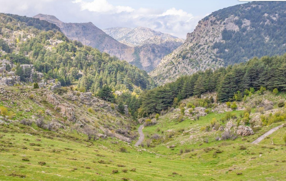 Cedars of God (Arz el Rab), Bsharri, North Lebanon, Lebanon